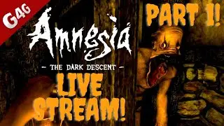Amnesia | Live Stream | Part 1