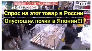 Бум на акулу из Икеи пришел в Японию | 