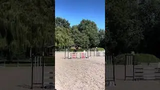 Ciao Bella club hippique de Roubaix