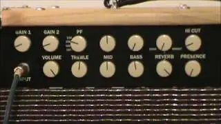 Luker Chameleon 40 watt Combo reverb and presence