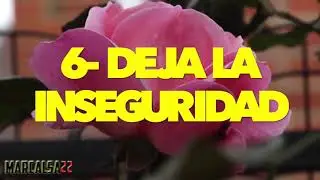 003 10 COSAS QUE DEBES DEJAR DE HACER PARA SER EXITOSO