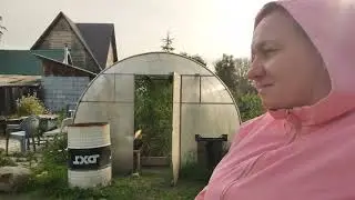 САША СОБРАЛ УРОЖАЙ ТЫКВЫ 👍