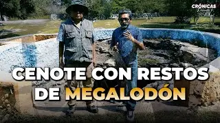 Cenote con restos de Megalodón / Comisaría de Noc Ac