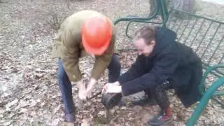 Сирена гражаднской обороны