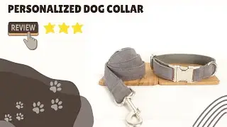 Personalized Dog Collar | Dogizz | Free Worldwide Delivery