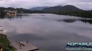Mirror Lake Livestream (Sponsored by Golden Arrow)
