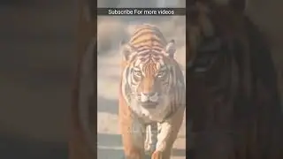 Ai Animation video kaise banaye #viral #shorts #viralvideos