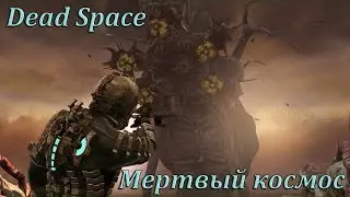 Dead Space - Глава 12: Мертвый космос