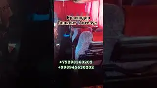 Краснодар Ташкент Автобус #автобус #тошкент #ростов #ташкент #анапа #ростов #автобус #тошкент