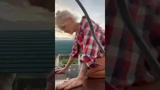 #wickedharley кроет крышу 😂
