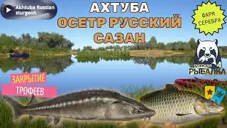 рр4 Осетр русский, Сазан Фарм серебра на реке АХТУБА Русская рыбалка 4/ Sturgeon, Russian fishing 4