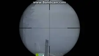 DayZ стреляют беги