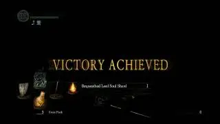 WHY I CANT PLAY DARK SOULS
