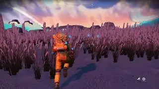 DIVERSE ENVIRONMENTS FOR NEXT - BREEZY PLANET
