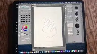 Clip studio paint on Ipad pro (no subscription)