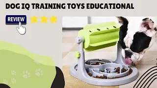 Dog Iq Training Toys Educational | Dogizz | Free Worldwide Delivery