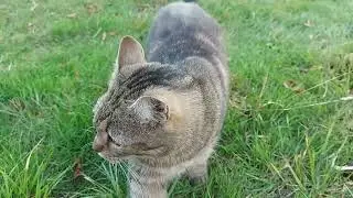 Делаем коптильню.
