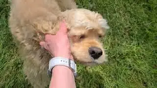 180. Сборная солянка. Живу и вышиваю 06.05.24-12.05.24