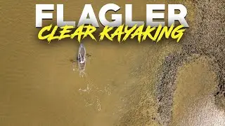 Clear Kayak Tours in Flagler, FL - Get Up And Go Kayaking