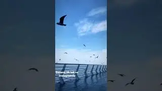 Bakının birdə belə üzü var.            İG: İkhtiyar_g