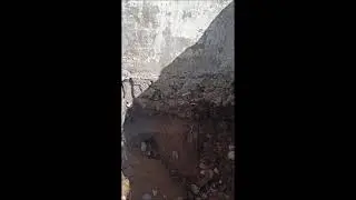 ТАИНСТВЕННАЯ НАХОДКА В ГЛУХОМ ЛЕСУ