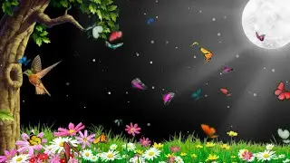 Grass flower black screen background | butterflies flying black screen | nature background effects