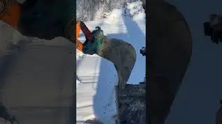 Замерз грунт в ковше у 