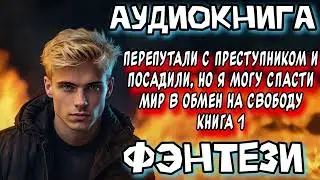ПЕРЕПУТАЛИ С ПРЕСТУПНИКОМ И ПОСАДИЛИ АУДИОКНИГА ФЭНТЕЗИ СЛУШАТЬ АУДИОКНИГИ