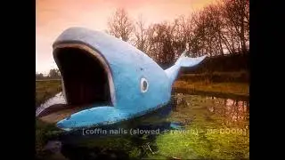 Fan Made Adult Swim Bumps
