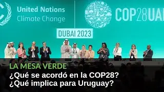 ¿Lo acordado en la COP28 es suficiente para combatir el cambio climático? ¿Qué implica para Uruguay?