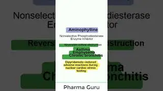 Aminophylline -  Norphyl - in a nutshell