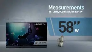 LG OLED65E6P E6 OLED 4K HDR Smart TV // Full Specs Review  