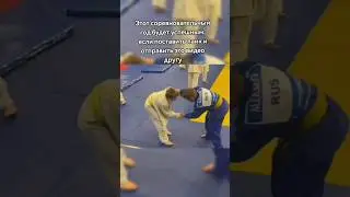 Соревновательный год