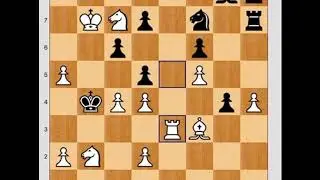 Chess Beauty #92