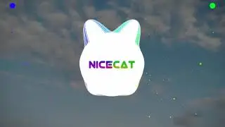 NiceCat - блять дегенеративное хуйло