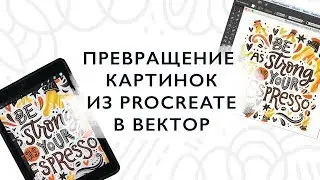 Превращение картинок из Procreate (Прокриейт) в векторные иллюстрации