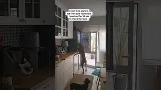 my roomate is stealing from me!!