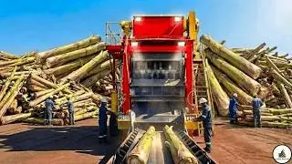 Inside the Banana Pseudostem Recycling Process – How It Becomes Fiber Panels