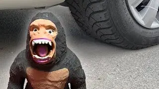 Crushing Crunchy & Soft Things by Car! - EXPERIMENT GORILLA vs CAR vs FOOD vs TOYS