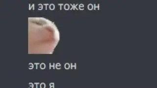 флекс кот