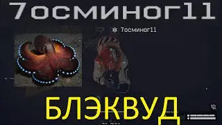 7осминог11 БЛЭКВУД (БАГИ WARFACE)