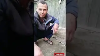 Самодельная брусчатка- дёшево и практично