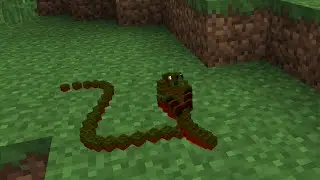 EP 5 Somone new