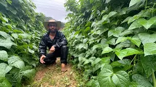 SITIO PEQUENO E MUITO PRODUTIVO
