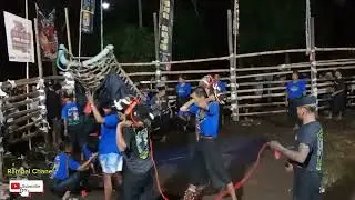 DETIK-DETIK SANG MASKOT KALA ‼️PUTRO SUTO WIJOYO🔥🔥🔥