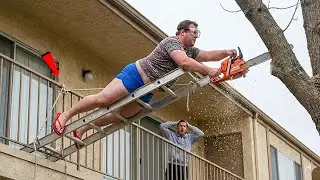 Idiots With Chainsaws & Tree Cutting Fails | Extreme Dangerous Logging Truck Fails #6