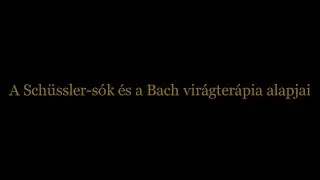 Beszélgetések Árendás László természetgyógyásszal - A Schüssler-sók és a Bach virágterápia alapjai