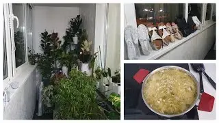 VLOG 06.10.23 г Комнатные растения/ Включили отопление/ Погода испортилась/ Рассольник/ Летняя обувь