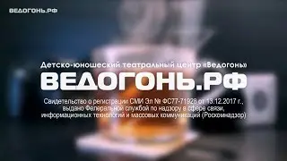 ВЕДОГОНЬ.РФ | Промо | Нам 2 года