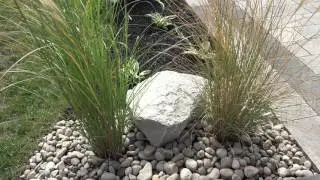 MTEC Corp - Landscape Project - Interview with Gianmarco